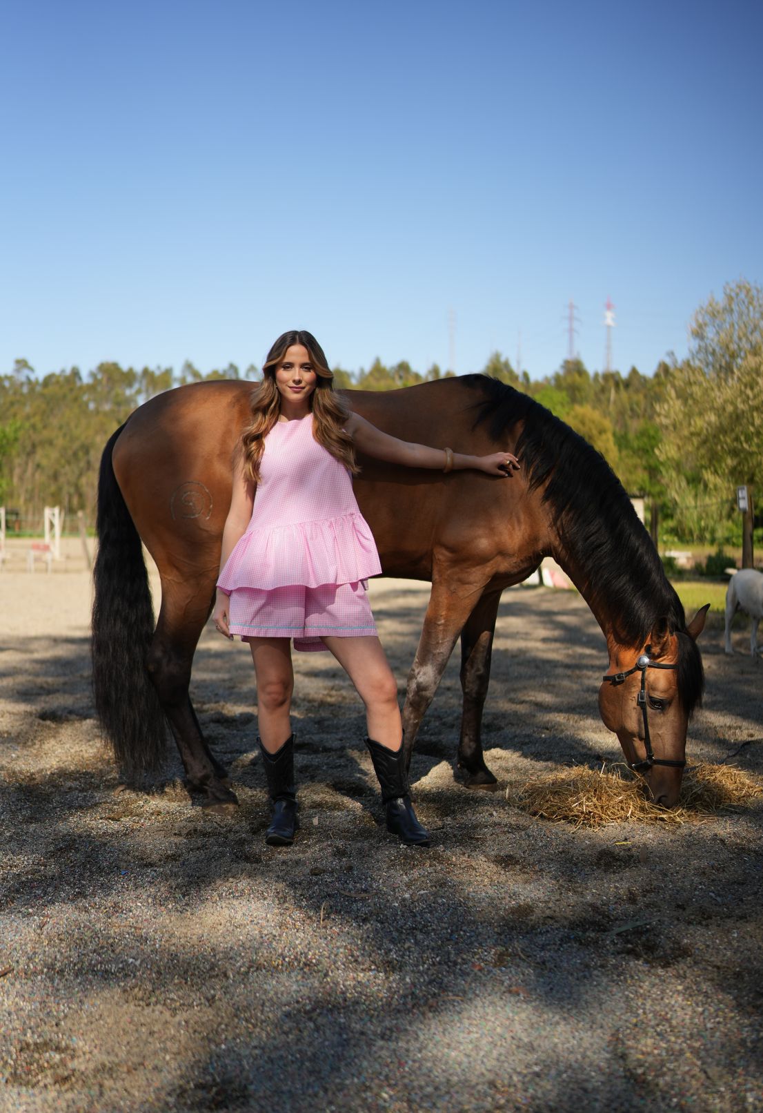 Top pink chess