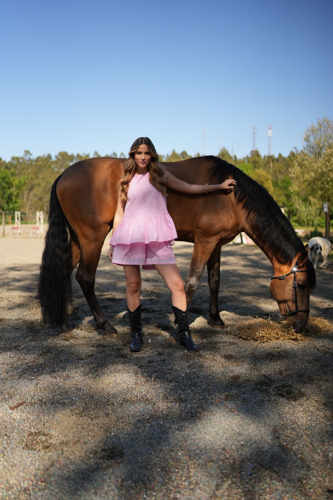 Top pink chess